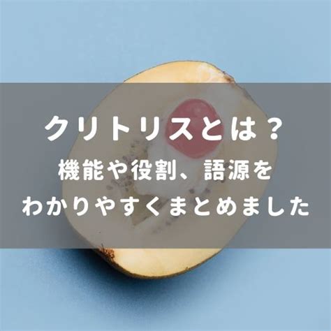 クリトリス 別名|クリトリスとは？機能や役割、語源をわかりやすくまとめました。